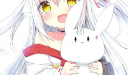 二次元漫画大全,二次元漫画大全概览